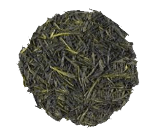Gyokuro Mikoto CAMBIA