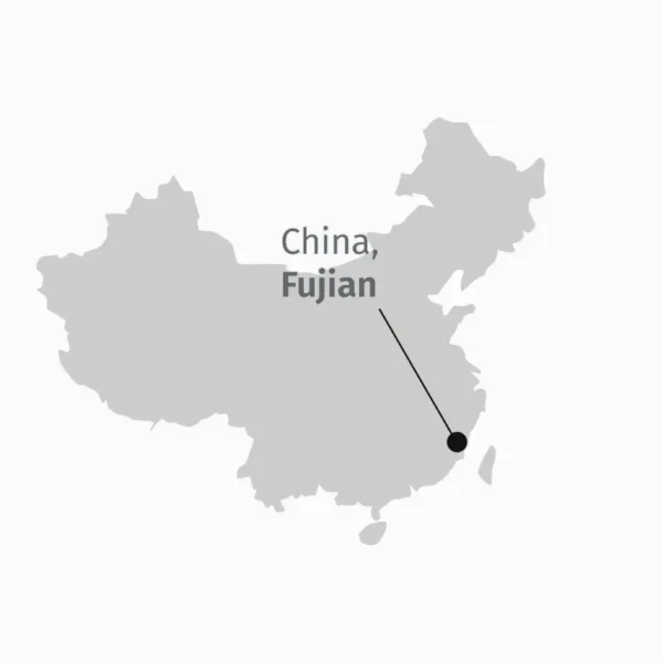 Yin Zhen Ago D'argento in foglia, mappa dello Fujang da cui proviene