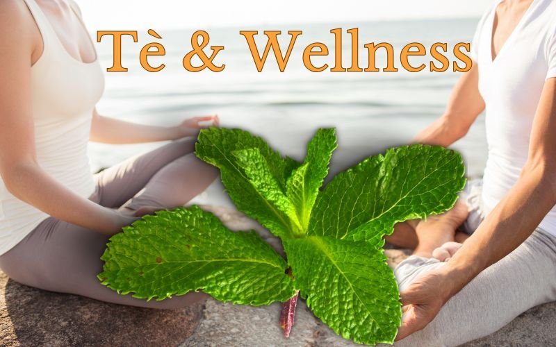 Tè e Wellness per le donne da Natura da Bere Immagine di tè per le donne che stanno facendo yoga