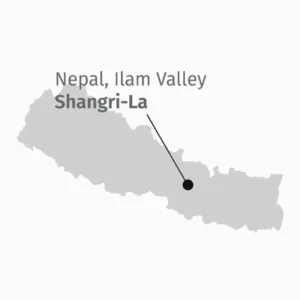 Himalayan Snow Mountain, tè bianco. Dettaglio della provenienza: mappa del Nepal Shangri-La