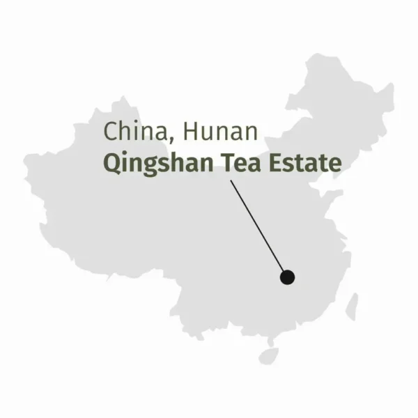 Tie Guan Yin Premium, tè oolong, mappa della provenienza da Qingshan