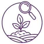 ricerca dei migliori tè sfusi selezionando le piantagioni di origine